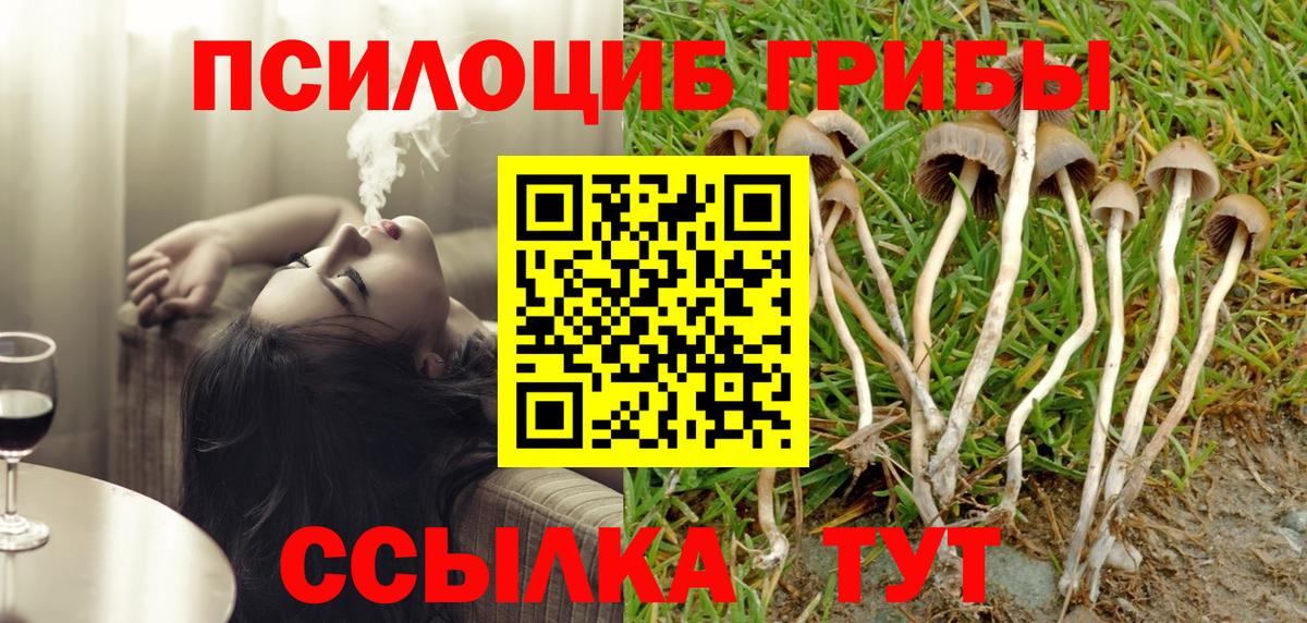 Псилоцибиновые грибы Magic Shrooms  Вход с VPN  Азов 