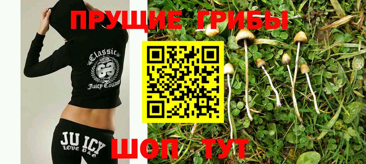 Псилоцибиновые грибы прущие грибы Азов